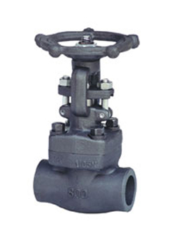 Z11Y�z�����l�y